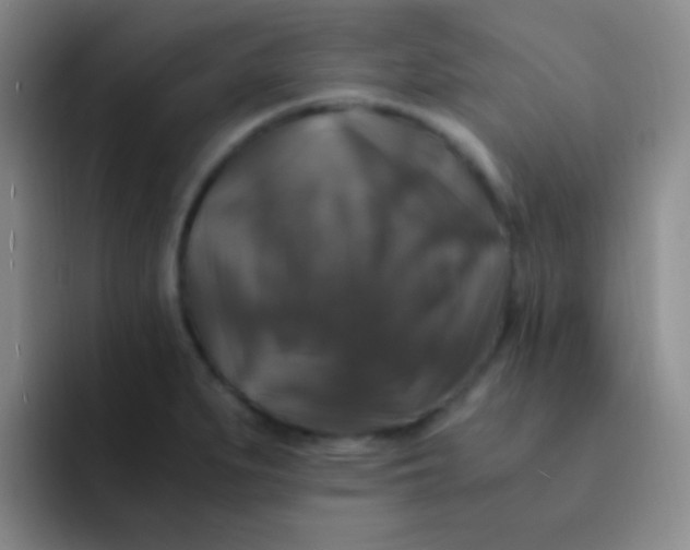 X0000091941279200709261926