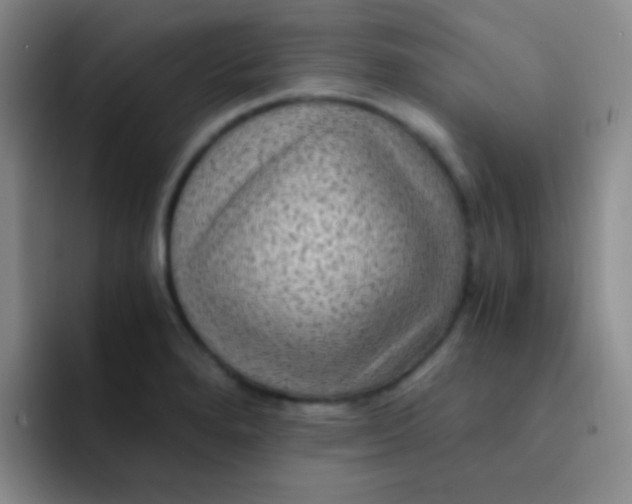 X0000091941280200709261926