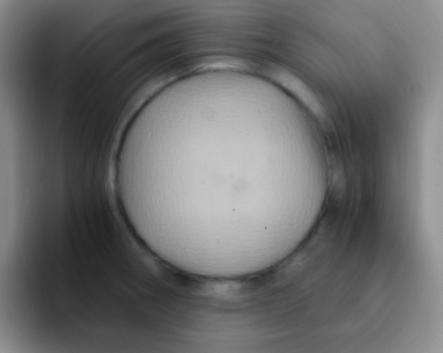 X0000091941282200709261926