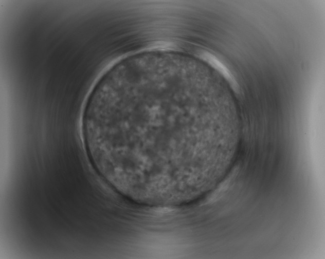 X0000091941283200709261926