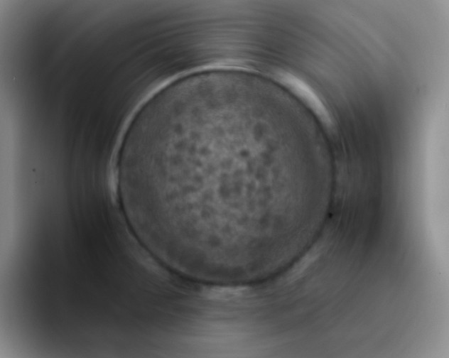 X0000091941284200709261926