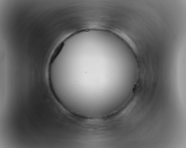 X0000091941285200709261926