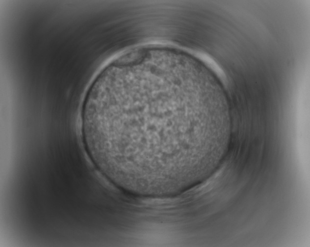 X0000091941287200709261926