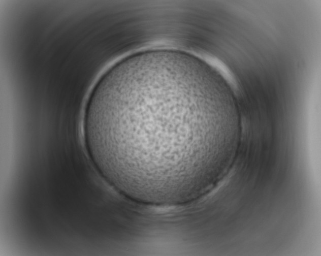 X0000091941288200709261926