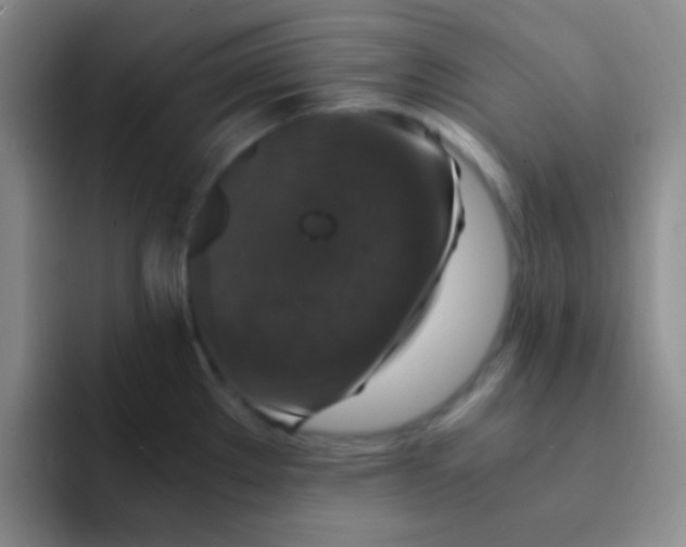 X0000091941289200709261926