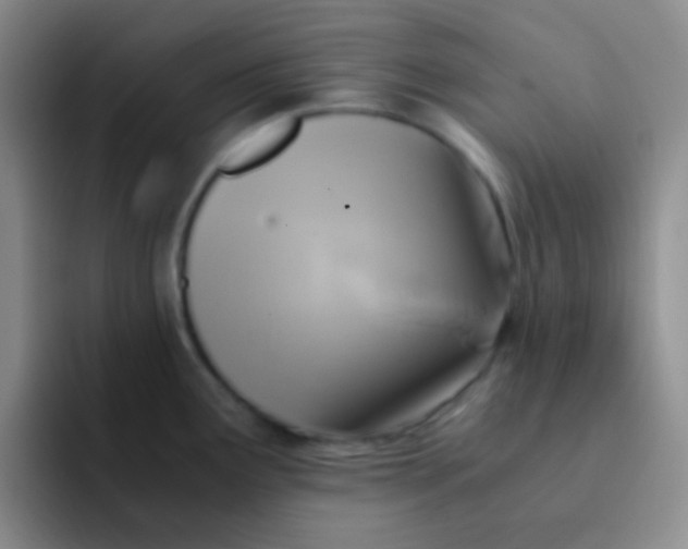 X0000091941291200709261926