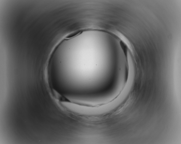 X0000091941293200709261926