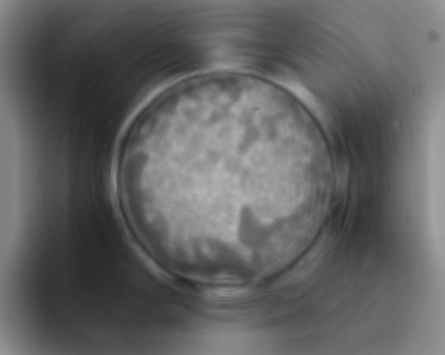 X0000091941294200709261926