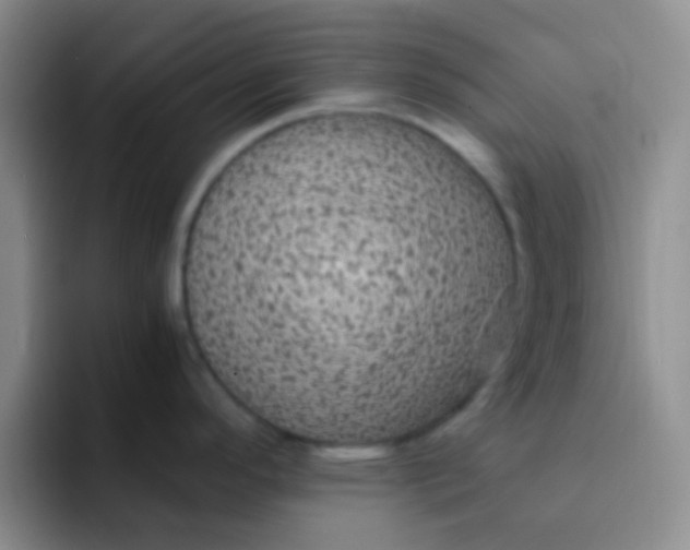 X0000091941296200709261925