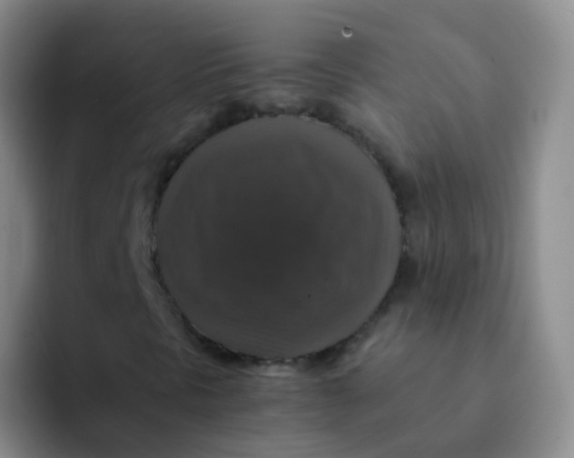 X0000091941297200709261925