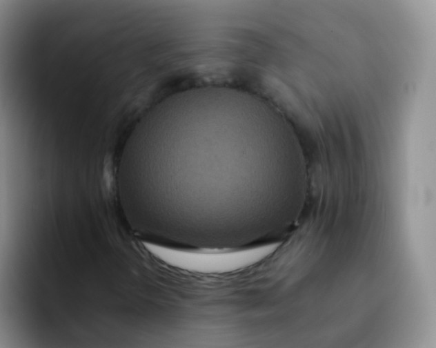 X0000091941298200709261925