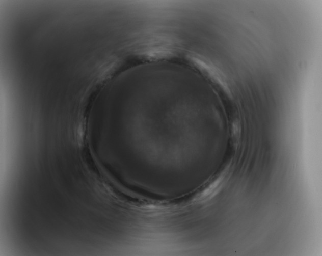 X0000091941300200709261925