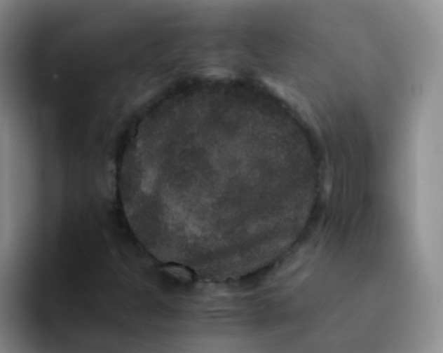 X0000091941301200709261925