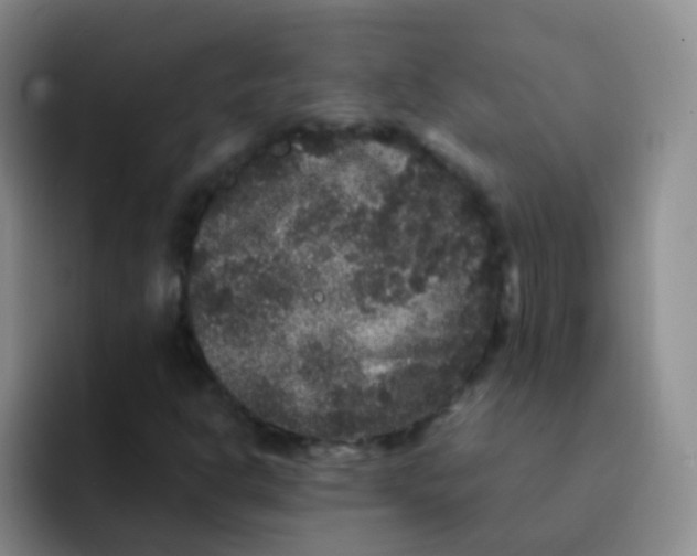 X0000091941302200709261925