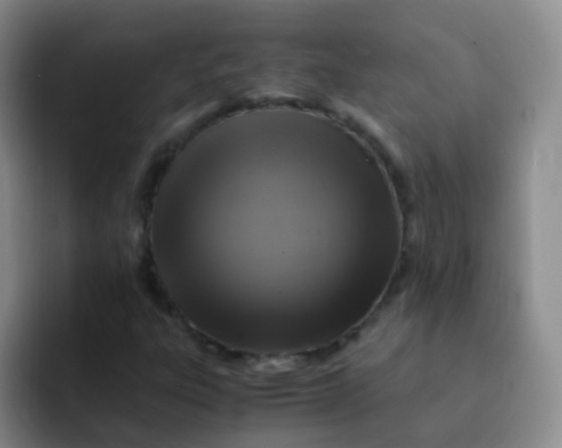 X0000091941303200709261925