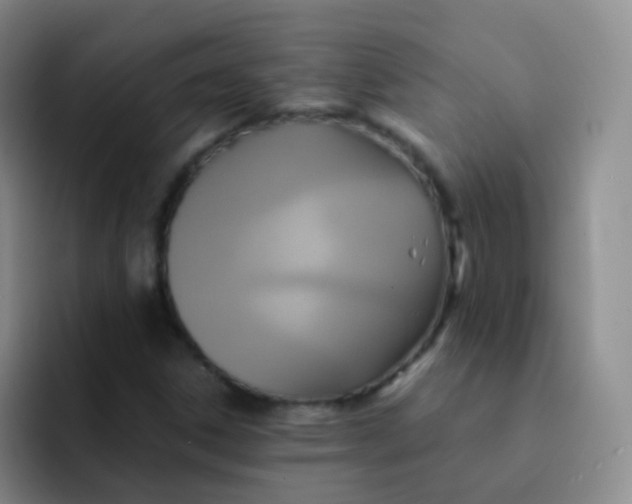 X0000091941306200709261925