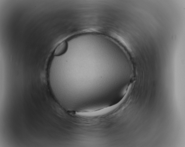 X0000091941308200709261925