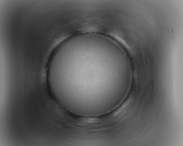 X0000091941309200709261925