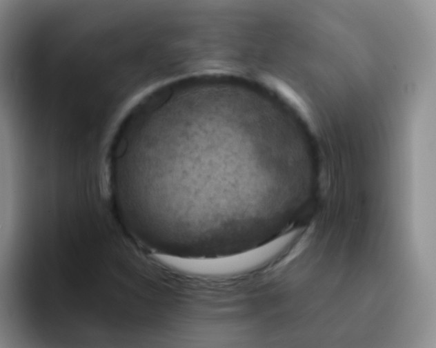 X0000091941310200709261925