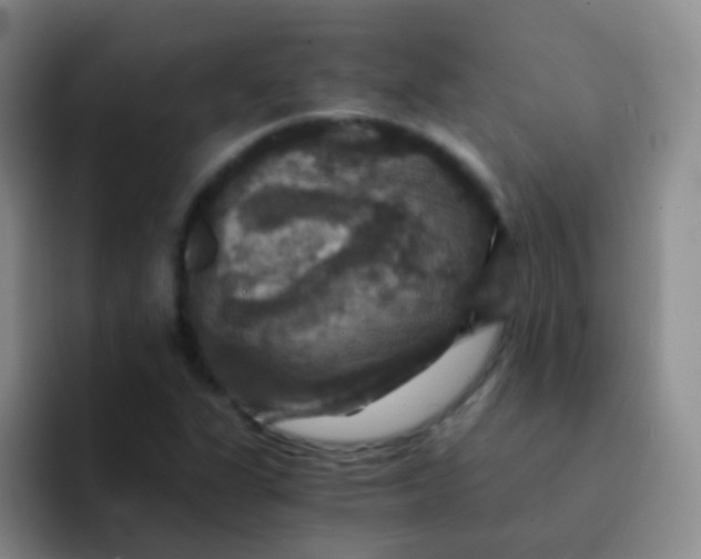 X0000091941311200709261925