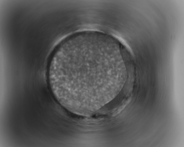 X0000091941312200709261925