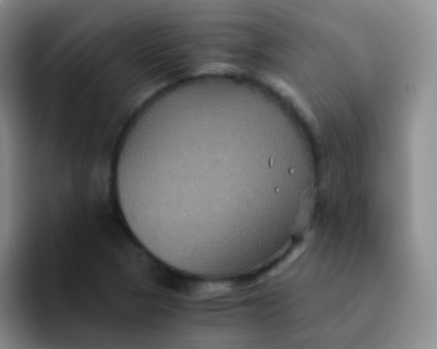 X0000091941313200709261925