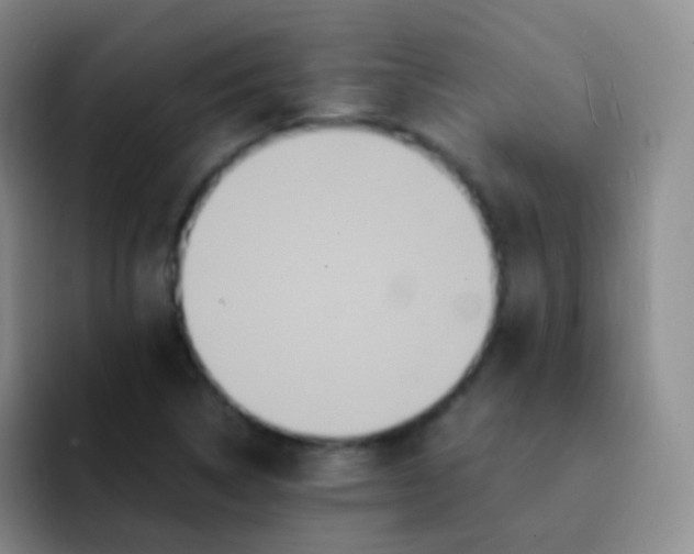 X0000091941314200709261925