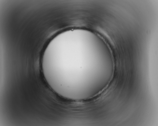 X0000091941315200709261925