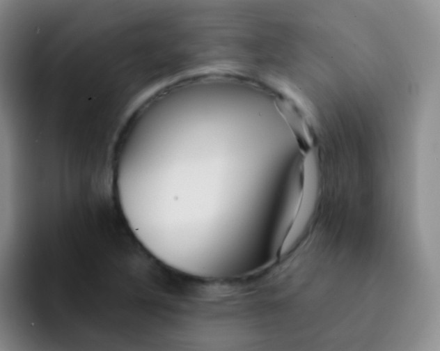 X0000091941316200709261925