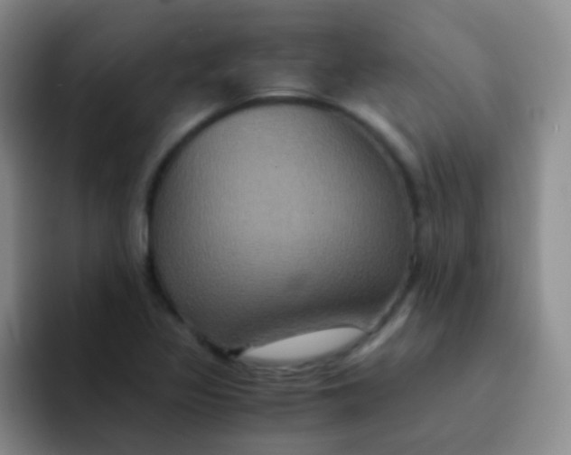 X0000091941317200709261925