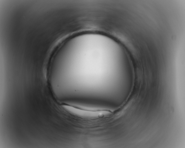 X0000091941318200709261925