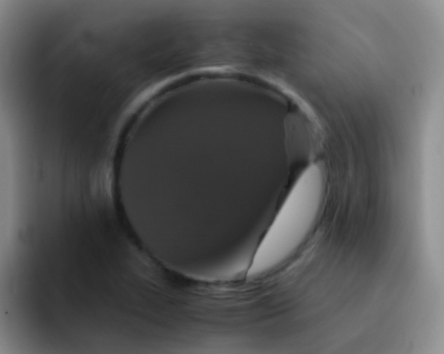 X0000091941319200709261925