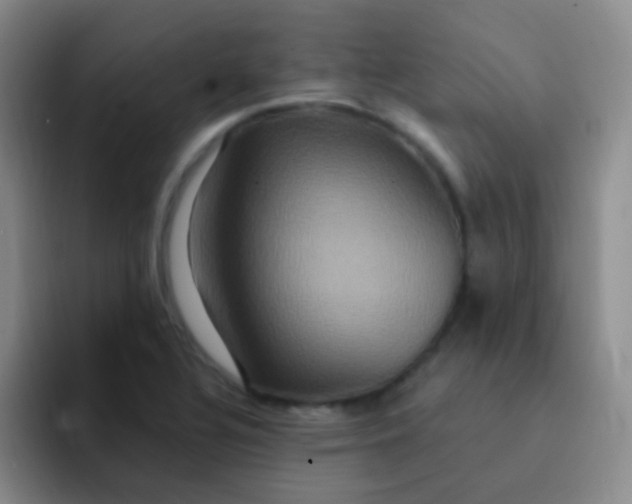 X0000091941320200709261925