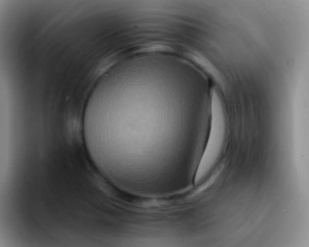 X0000091941321200709261925