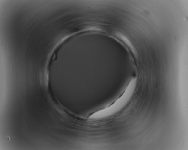 X0000091941323200709261925