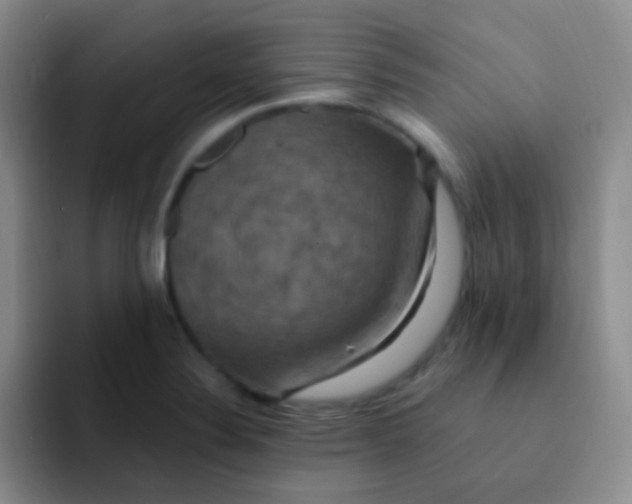 X0000091941324200709261925