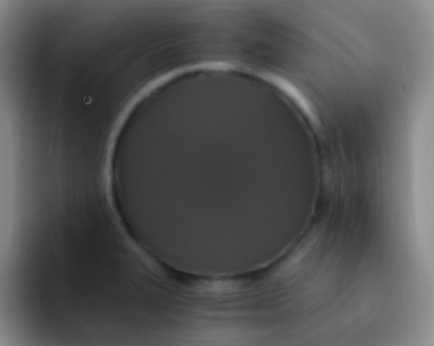 X0000091941327200709261925