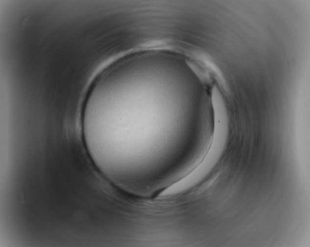 X0000091941328200709261925