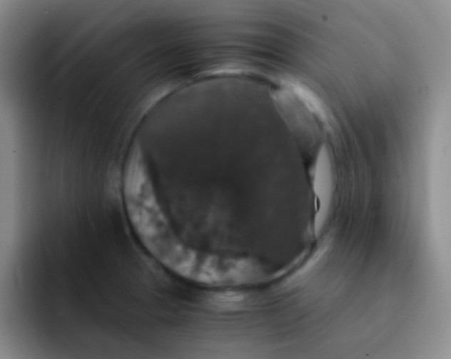 X0000091941329200709261925