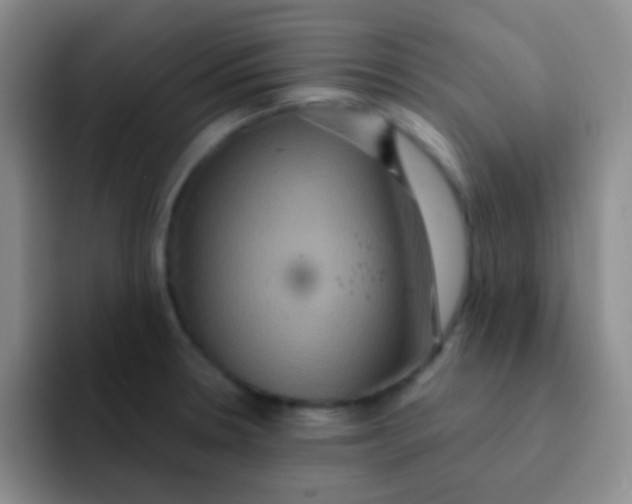 X0000091941330200709261925