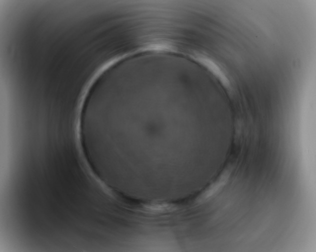 X0000091941331200709261925