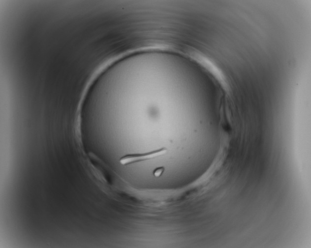 X0000091941332200709261925