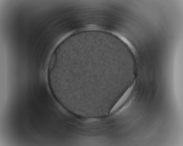 X0000091941333200709261925