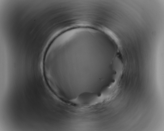 X0000091941334200709261925