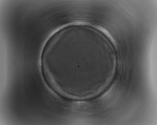 X0000091941335200709261925