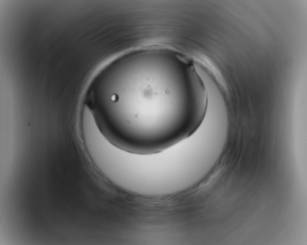 X0000091941336200709261925