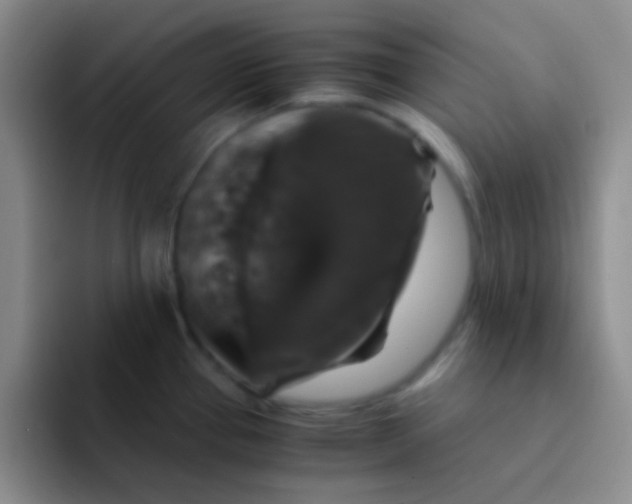 X0000091941337200709261925