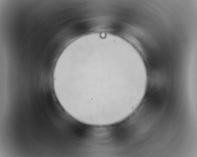 X0000091941338200709261925