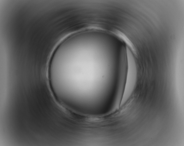 X0000091941339200709261925