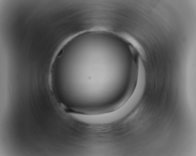 X0000091941340200709261925